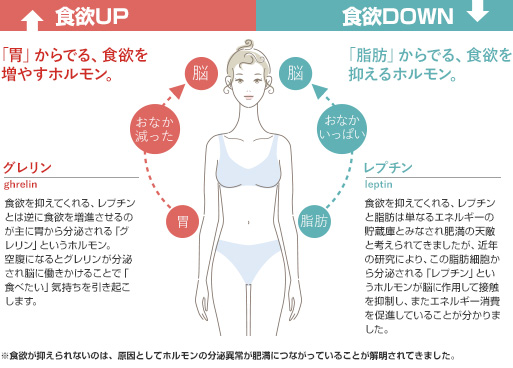 食欲の正体と食欲のコントロール